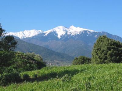 Appartement Centre Ville Du Boulou Pour 2 Adultes-2 Enfants- Check In 17H-21H--Juillet-Aout Reservation De 7 Jours Mini Le Boulou Esterno foto
